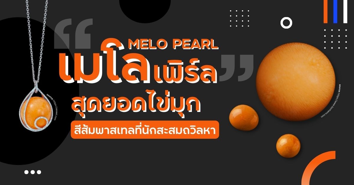 MELO PEARL : สุดยอดไข่มุกสีส้มพาสเทลที่นักสะสมถวิลหา